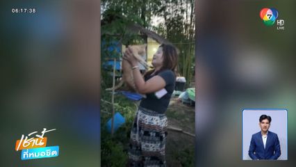 ช่วยแมวซุกซนติดบนต้นไม้ 1 วัน จ.กาฬสินธุ์