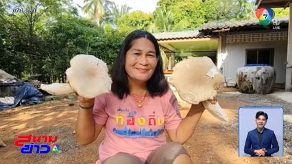 ฮือฮา เห็ดยักษ์ประหลาด กินได้ไหม