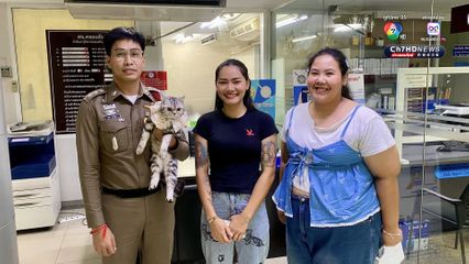 แจ้งข้อหาหนัก เพื่อไม่ให้หมู่แมวเอาเป็นเยี่ยงอย่าง