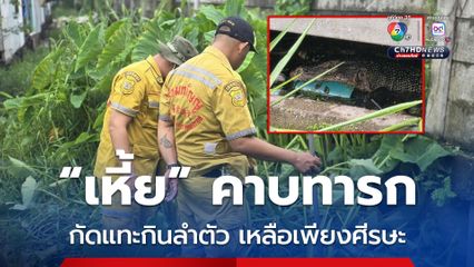 ด่วน ! พบตัวเหี้ยคาบร่างทารกแรกเกิด กัดแทะกินลำตัว เหลือเพียงส่วนหัว