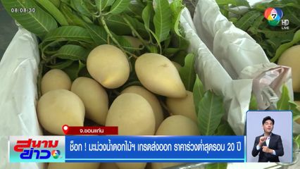 ช็อก ! มะม่วงน้ำดอกไม้ฯ เกรดส่งออก ราคาร่วงต่ำสุดรอบ 20 ปี