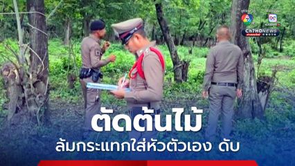 ชายวัย 55 ปี ตัดต้นไม้ ต้นไม้เด้งกลับกระแทกใส่หัว เสียชีวิต
