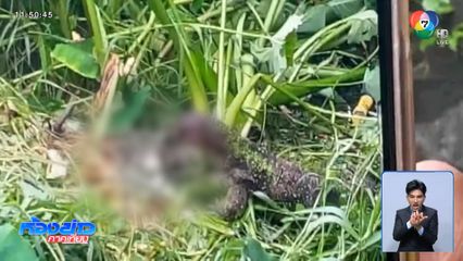 สืบต่อ ! ลูกใครหายโดนตัวเหี้ยกัดกิน