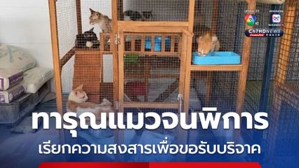 ทารุณแมวจนพิการ เรียกความสงสารเพื่อขอรับบริจาค