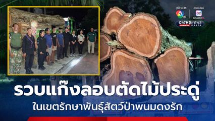 สกัดจับขบวนลักลอบตัดไม้ประดู่ ในพื้นที่ป่าอนุรักษ์ เตรียมขยายผลดำเนินคดี