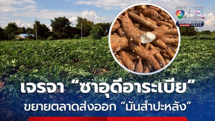 “พาณิชย์” เร่งเจรจา “ซาอุดีอาระเบีย” ขยายตลาดส่งออก “มันสำปะหลัง” สู่อุตสาหกรรมอาหารสัตว์รายใหญ่