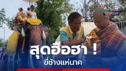 ฮือฮา ! ขี่ช้างแห่นาค จัดเต็มวงดนตรี นักร้องขับเก๋งไปร้องเพลงไป