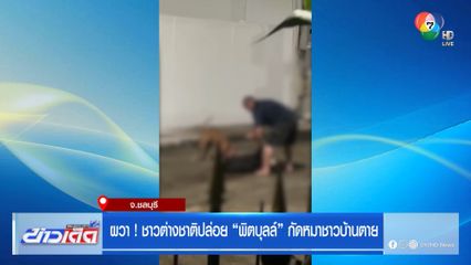 ผวา ! ชาวต่างชาติปล่อย “พิตบุลล์” กัดหมาชาวบ้านตาย