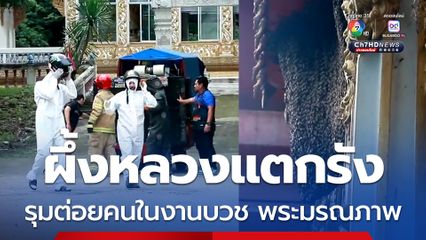 เครื่องเสียงกระหึ่ม ผึ้งหลวงแตกรังรุมคนในงานบวช พระถูกต่อยมรณภาพ