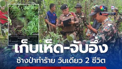 ช้างป่าทำร้าย 2 ชีวิต เข้าป่าเก็บเห็ด-จับอึ่ง