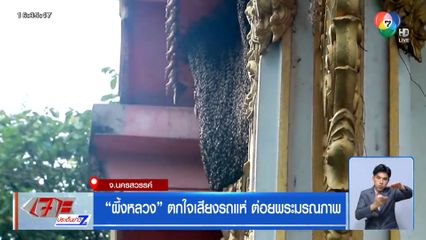 ผึ้งหลวง ตกใจเสียงรถแห่ ต่อยพระมรณภาพ