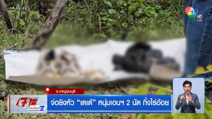 จ่อยิงหัว เตเต้ หนุ่มเอนฯ 2 นัด ทิ้งไร่อ้อย