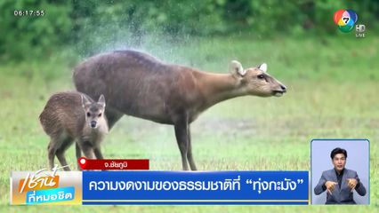 ความงดงามของธรรมชาติที่ ทุ่งกะมัง