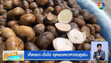 เห็ดเผาะ-อึ่งไข่ สุดยอดอาหารฤดูฝน