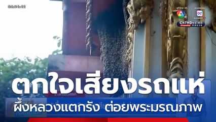 ผึ้งหลวง ตกใจเสียงรถแห่ ต่อยพระมรณภาพ