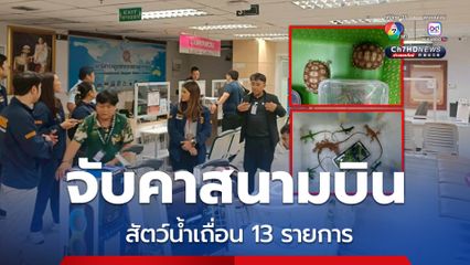 ลักลอบส่งออกสัตว์น้ำเถื่อน ณ ท่าอากาศยานสุวรรณภูมิ