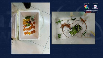 ลักลอบส่งออกสัตว์น้ำเถื่อน ณ ท่าอากาศยานสุวรรณภูมิ