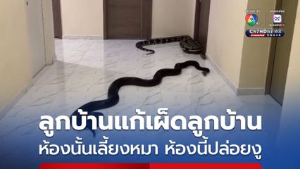 ลูกบ้านแก้เผ็ดลูกบ้าน หลังมีห้องอื่นเลี้ยงหมา  แจ้งนิติแล้ว ไม่เป็นผล ลูกบ้านจึงนำงูตัวใหญ่ 2 ตัว มาปล่อยบริเวณทางเดิน