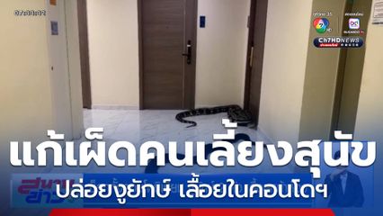 ช็อกทั้งคอนโดมิเนียม งูยักษ์ 2 ตัว เลื้อยหน้าห้อง