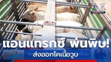 แอนแทรกซ์ พ่นพิษ! ส่งออกโคเนื้อวูบ