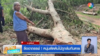 ลืออาถรรพ์ ! หนุ่มตัดต้นไม้ถูกล้มทับตาย