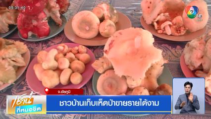 ชาวบ้านเก็บเห็ดป่าขายรายได้งาม