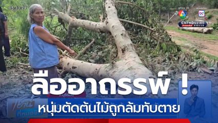 ลืออาถรรพ์ ! หนุ่มตัดต้นไม้ถูกล้มทับตาย
