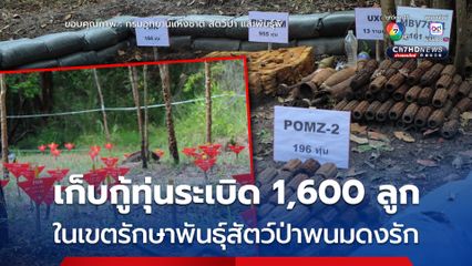 เก็บกู้ทุ่นระเบิด 1,600 ลูก ในเขตรักษาพันธุ์สัตว์ป่าพนมดงรัก
