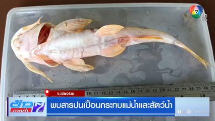 พบสารปนเปื้อนกระทบแม่น้ำและสัตว์น้ำ