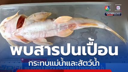 พบสารปนเปื้อนกระทบแม่น้ำและสัตว์น้ำ