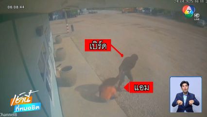 สามีโหดลากภรรยาไปกับพื้นถนน 400 เมตร