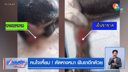 คนใจเหี้ยม! ตัดหางหมา ฟันขาอีกด้วย
