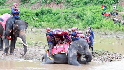 ซักซ้อมช้างกู้ภัย ทบทวนหลักสูตรรับมือน้ำป่าหลาก
