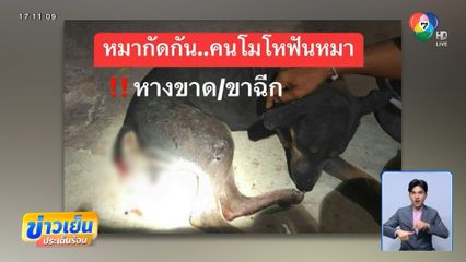 ตามจับ คนตัดหางหมา ฟันขาเอ็นขาด