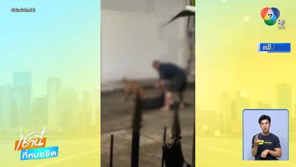 ผวาต่อเนื่อง ! พิตบุลล์ จอมขย้ำยังอยู่