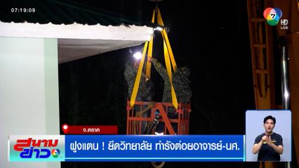 ฝูงแตน ! ยึดวิทยาลัย ทำรังต่อยอาจารย์-นศ. กู้ภัยต้องใช้รถเครนขึ้นไปกำจัด