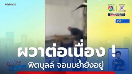 ผวาต่อเนื่อง ! พิตบุลล์ จอมขย้ำยังอยู่