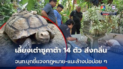 บุกตรวจบ้านเลี้ยง “เต่าซูคาต้า” ส่งกลิ่นรบกวนเพื่อนบ้าน จนท.ตักเตือน-ชี้แจงข้อกฎหมาย