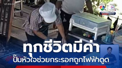 ทุกชีวิตมีค่า แม่ค้าปั๊มหัวใจช่วยกระรอกถูกไฟฟ้าดูด