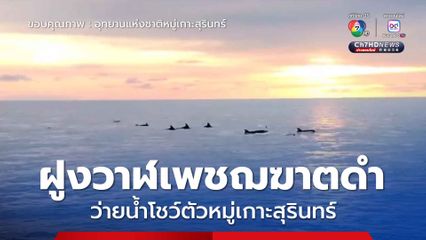 ฝูงวาฬเพชฌฆาตดำ ว่ายน้ำโชว์ตัวหมู่เกาะสุรินทร์