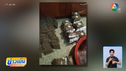 ตรวจสอบพบ กัญชา ในวัดชื่อดัง