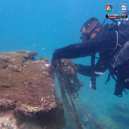 ปฏิบัติการกู้ชีพปะการัง เก็บกู้อวนผี รักษาบ้านสัตว์ทะเล