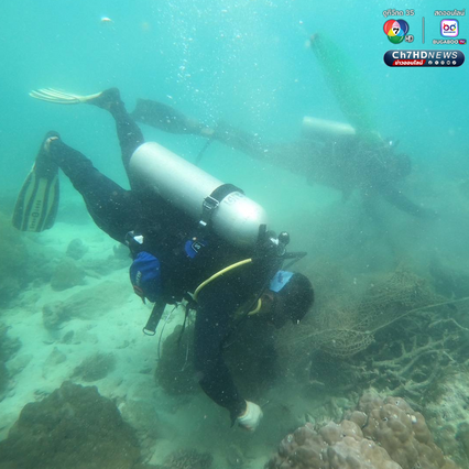 ปฏิบัติการกู้ชีพปะการัง เก็บกู้อวนผี รักษาบ้านสัตว์ทะเล