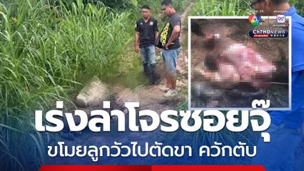 ตำรวจเร่งล่าโจรซอยจุ๊ ขโมยลูกวัวไปเชือด ตัดขาควักตับ เจ้าของให้รางวัลนำจับ 1 หมื่นบาท