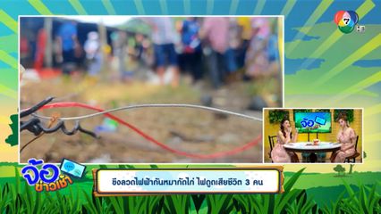 ขึงลวดไฟฟ้ากันหมากัดไก่ ไฟดูดเสียชีวิต 3 คน