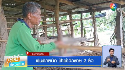 ฝนตกหนัก ฟ้าผ่าวัวตาย 2 ตัว
