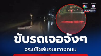 ชาวบ้านผวา ขับรถเจอไอ้เข้นอนนิ่งขวางถนน ต้องเบี่ยงรถหนี ตั้งสติได้ รีบแจ้งเจ้าหน้าที่ แต่หนีไปแล้ว