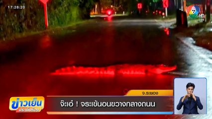 จ๊ะเอ๋ ! จระเข้นอนขวางกลางถนน