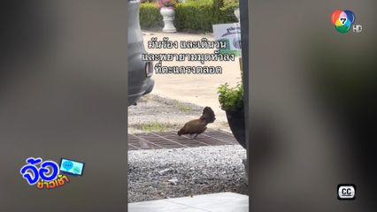 เล่นใหญ่ ยกรถเปิดท่อช่วยแม่-ลูก...?