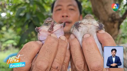 ตะลึง ! อึ่งอ่าง 5 ขามาให้โชค